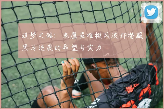 追梦之路：老鹰虽难掀风浪却潜藏黑马逆袭的希望与实力